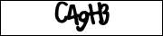 CAPTCHA